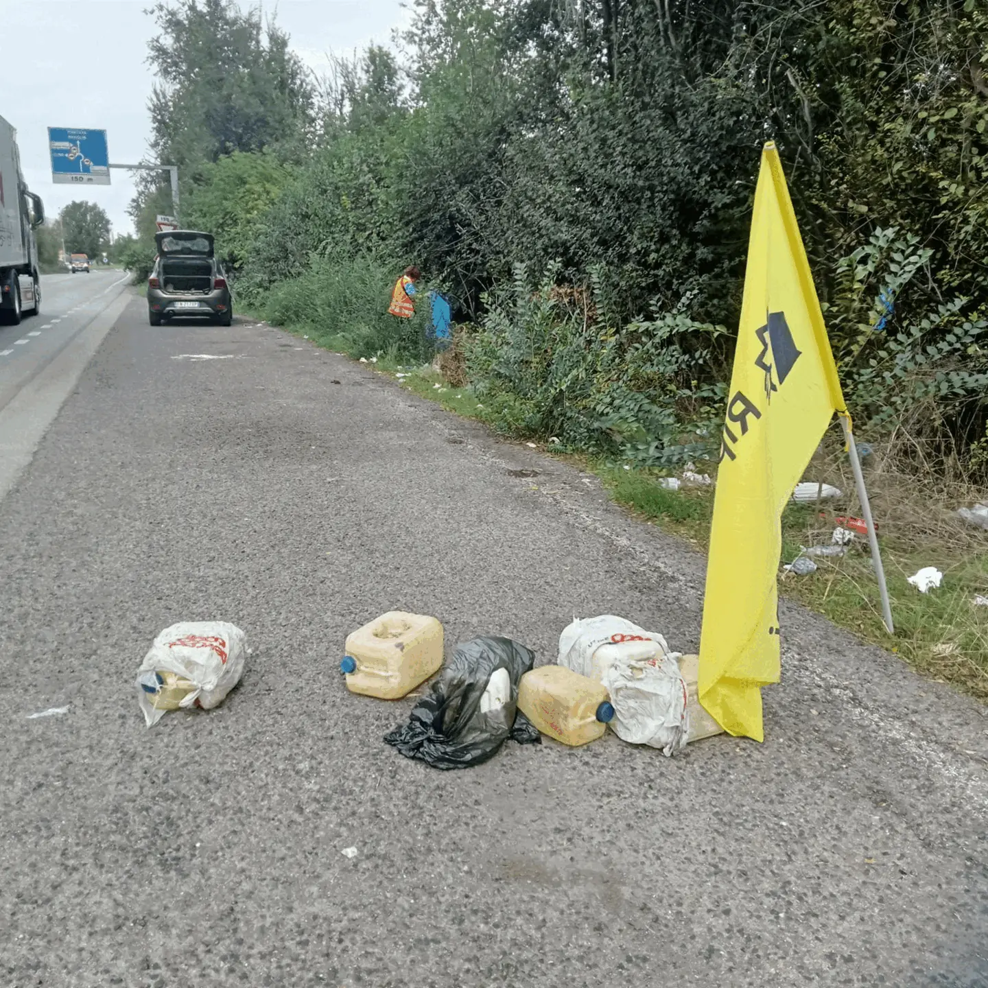 Immagine della giornata