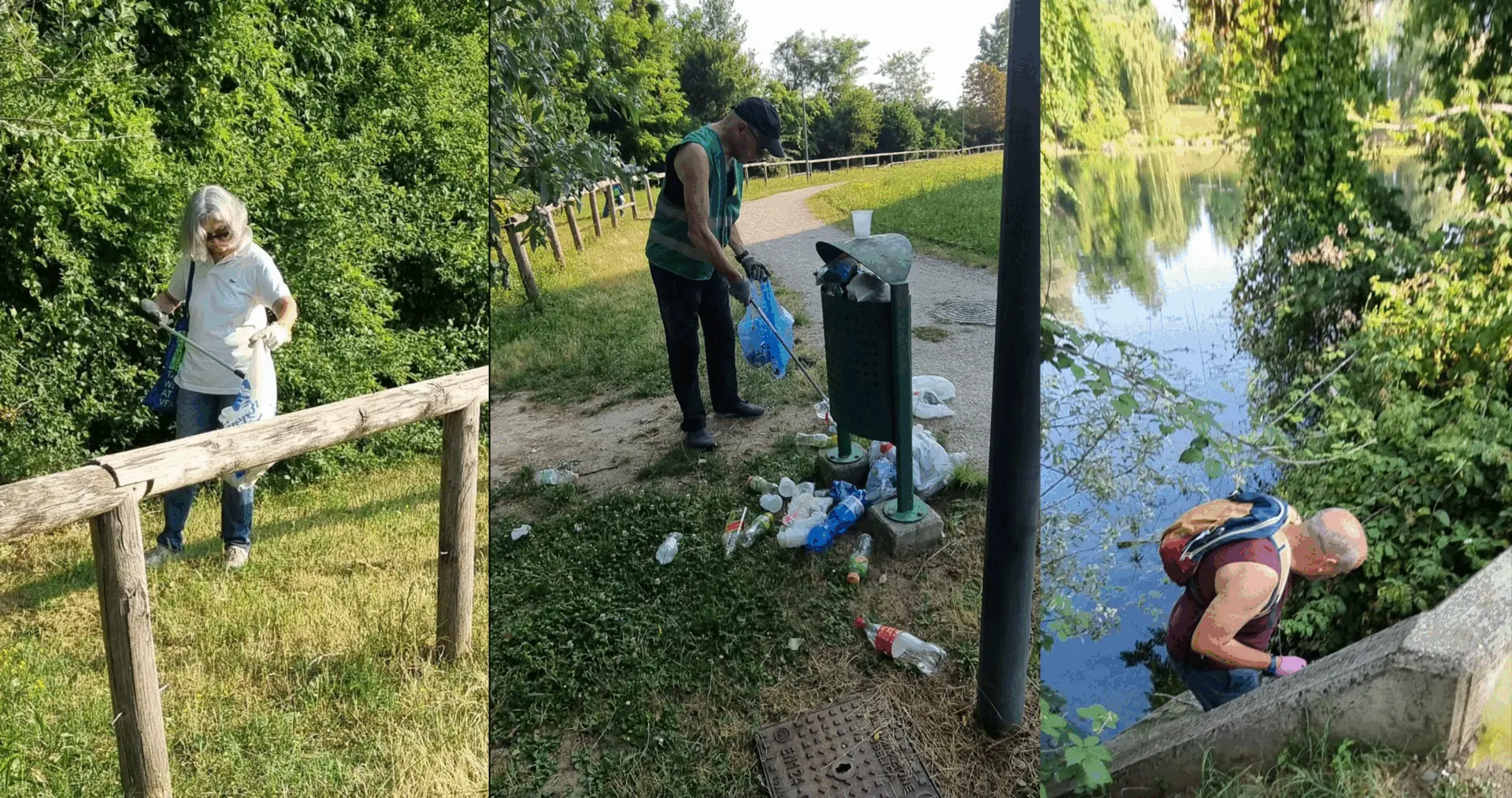 Immagine della giornata