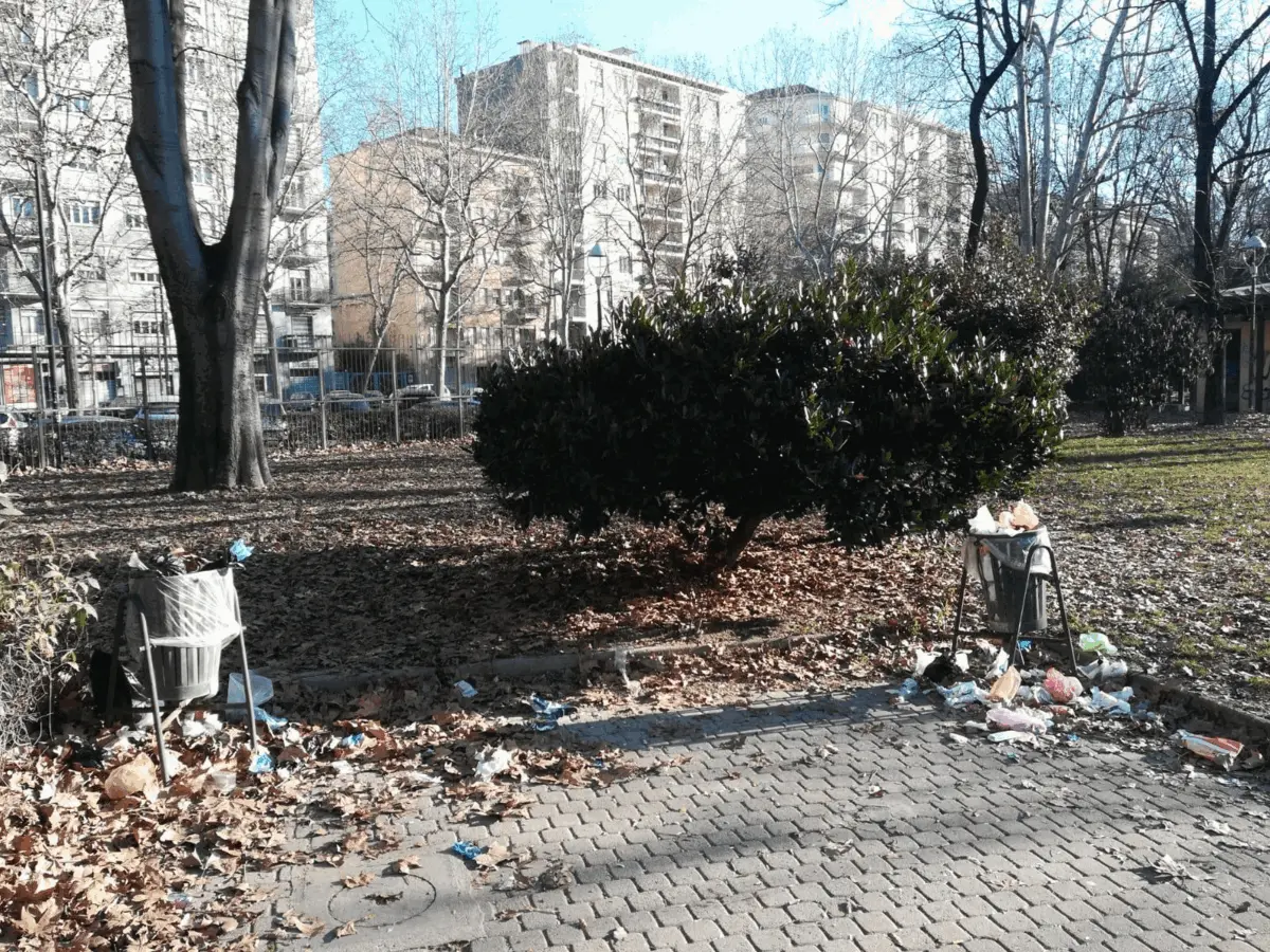 Immagine della giornata