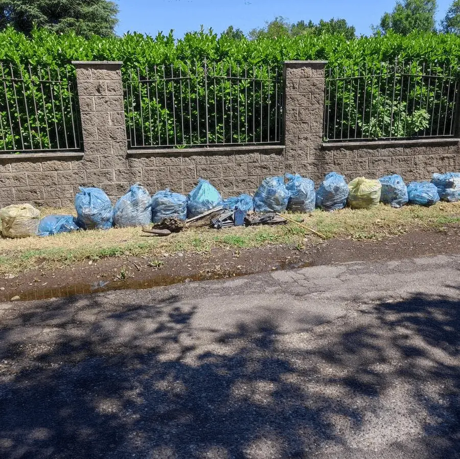 Immagine della giornata