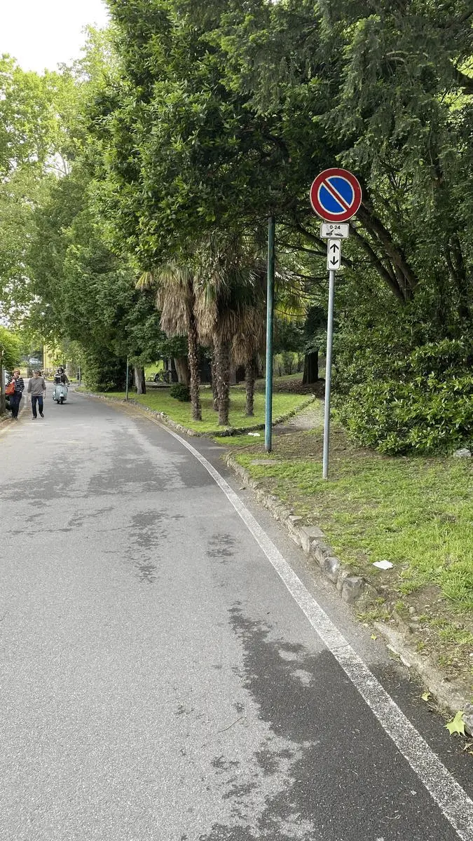 Immagine della giornata