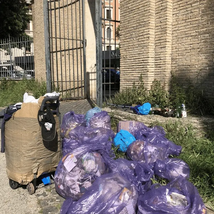 Immagine della giornata