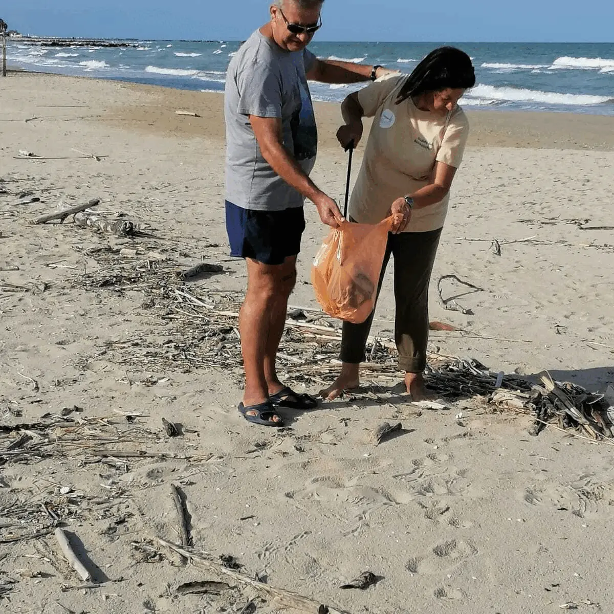 Immagine della giornata