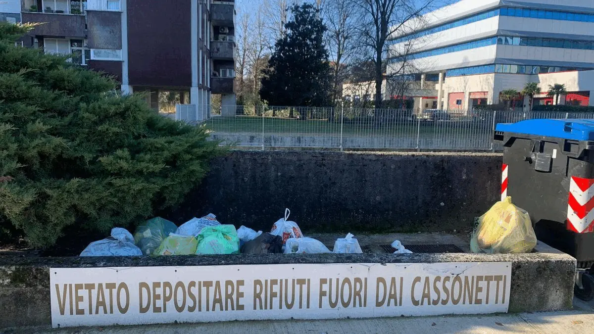 Immagine della giornata