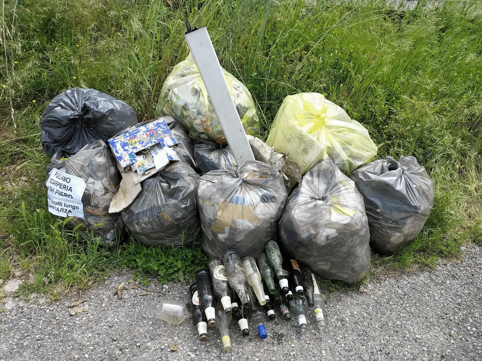 Immagine della giornata