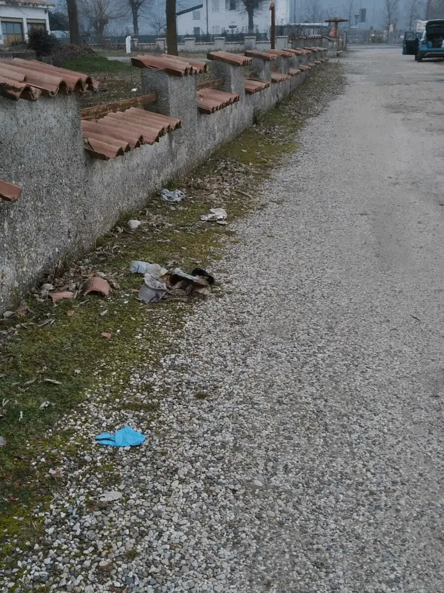 Immagine della giornata