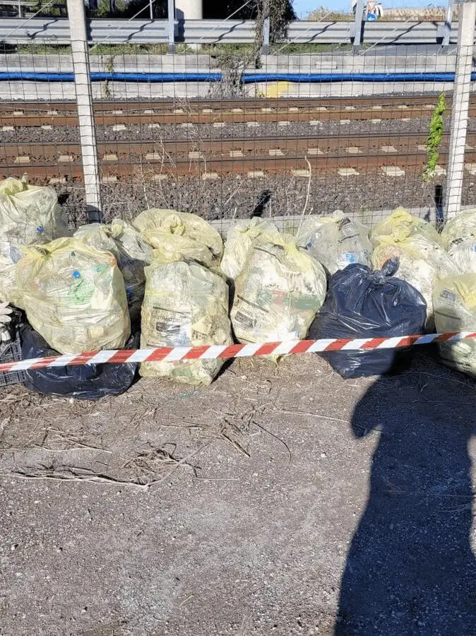 Immagine della giornata