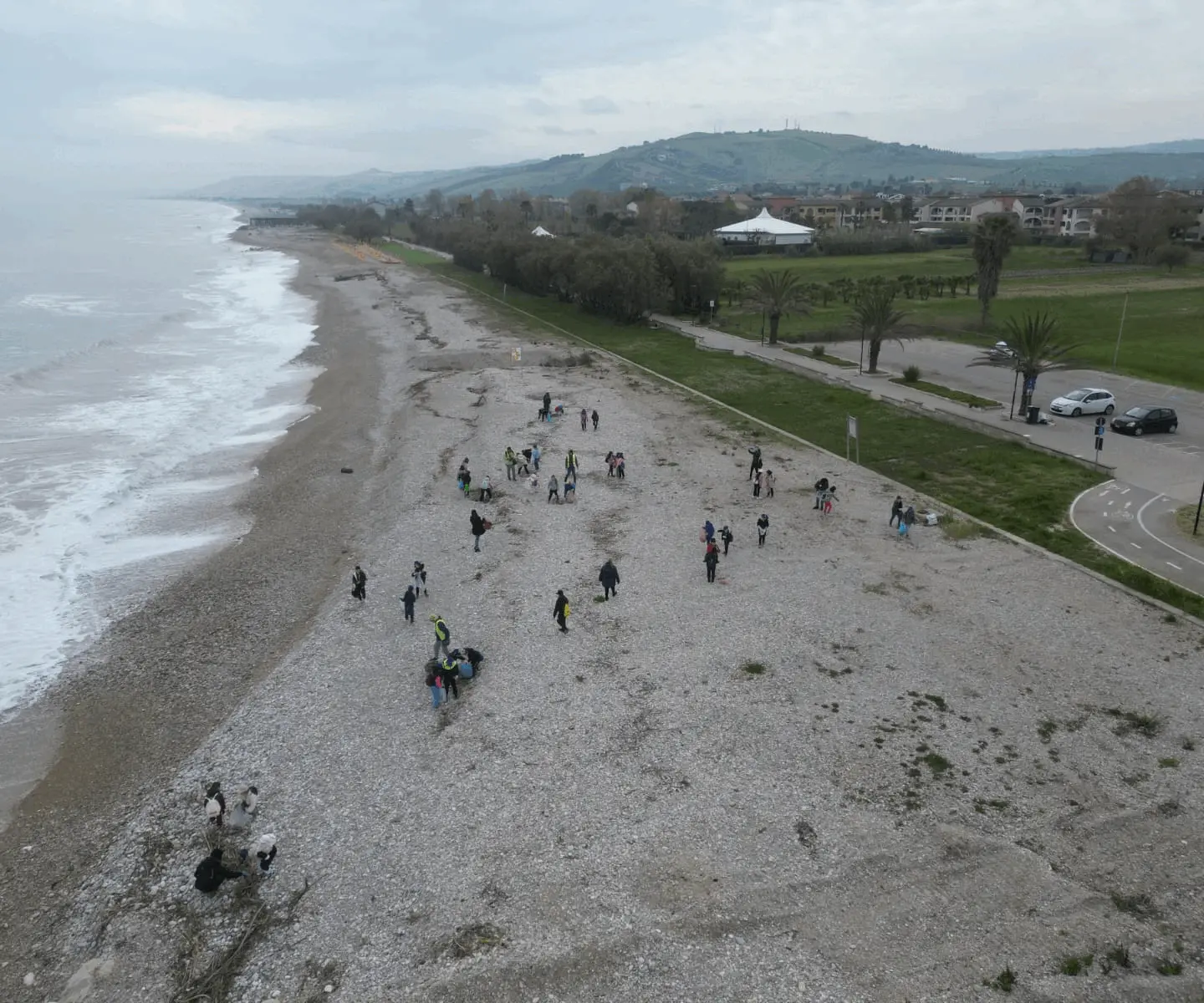 Immagine della giornata