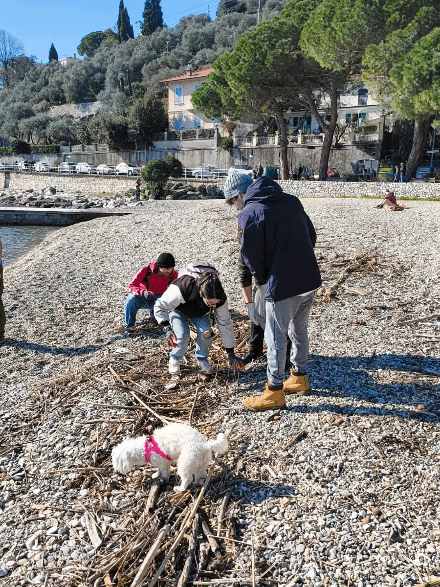 Immagine della giornata