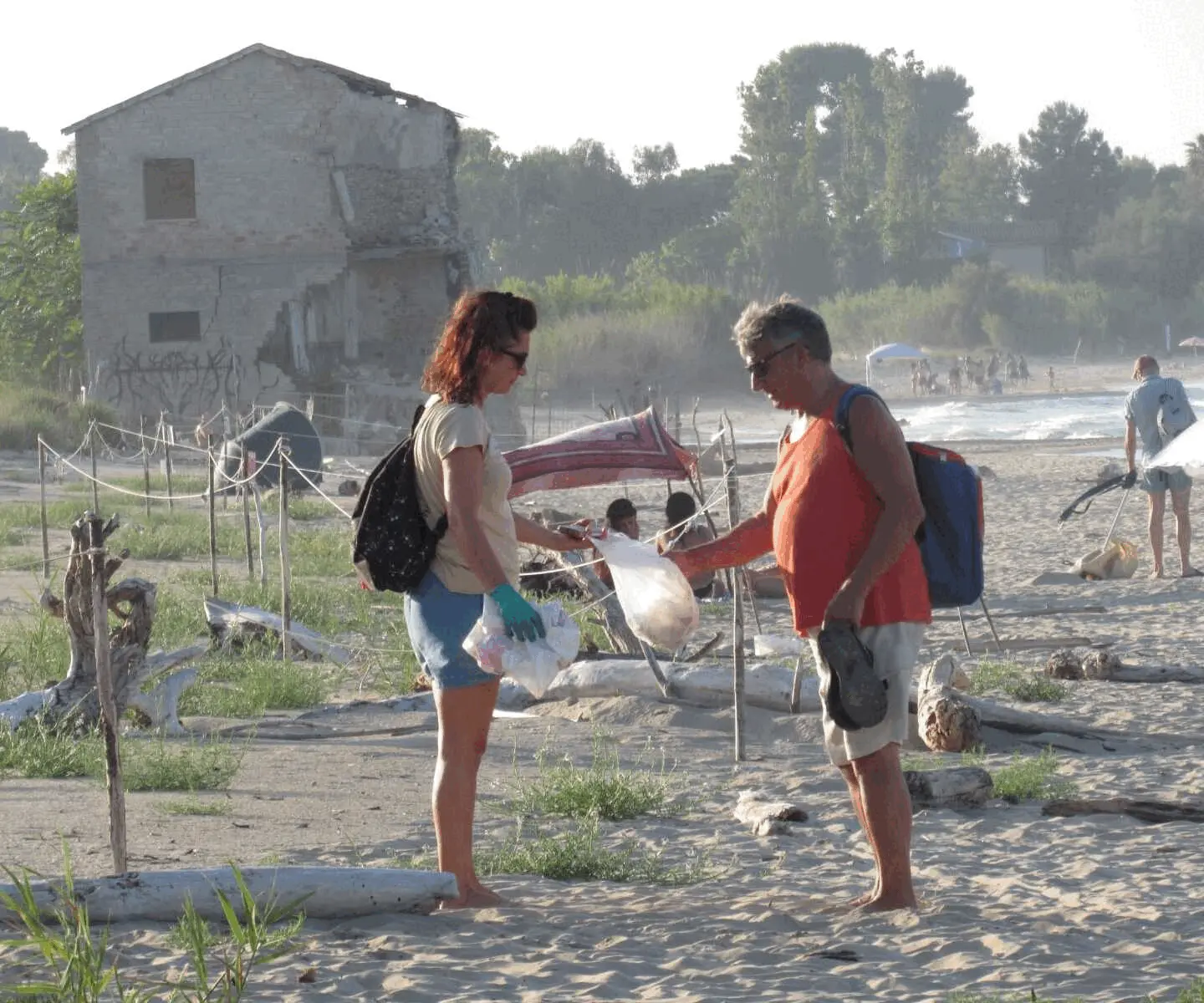 Immagine della giornata