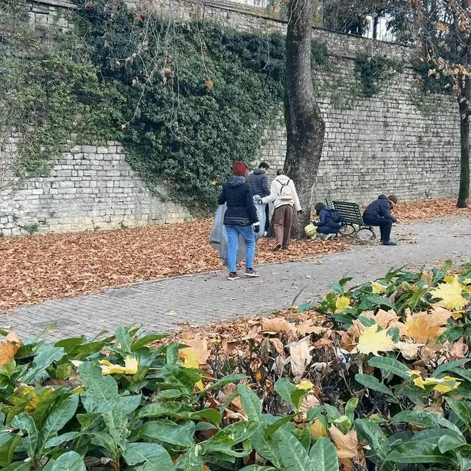Immagine della giornata