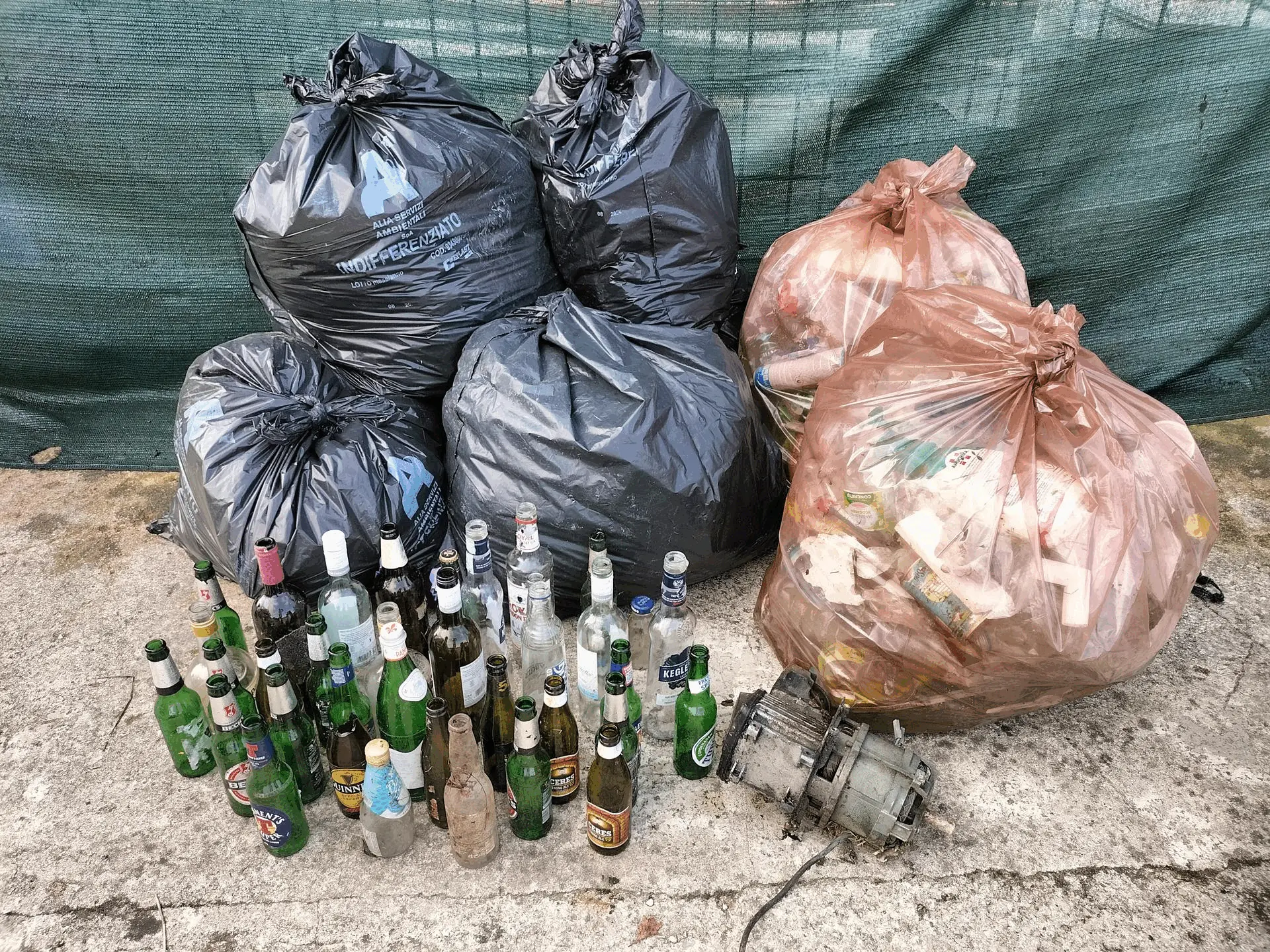 Immagine della giornata