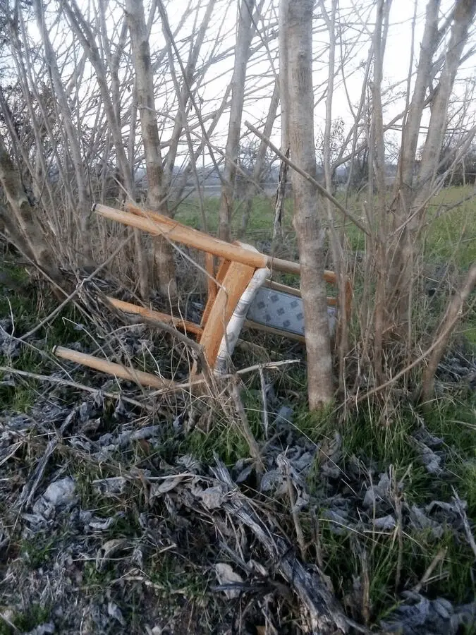 Immagine della giornata