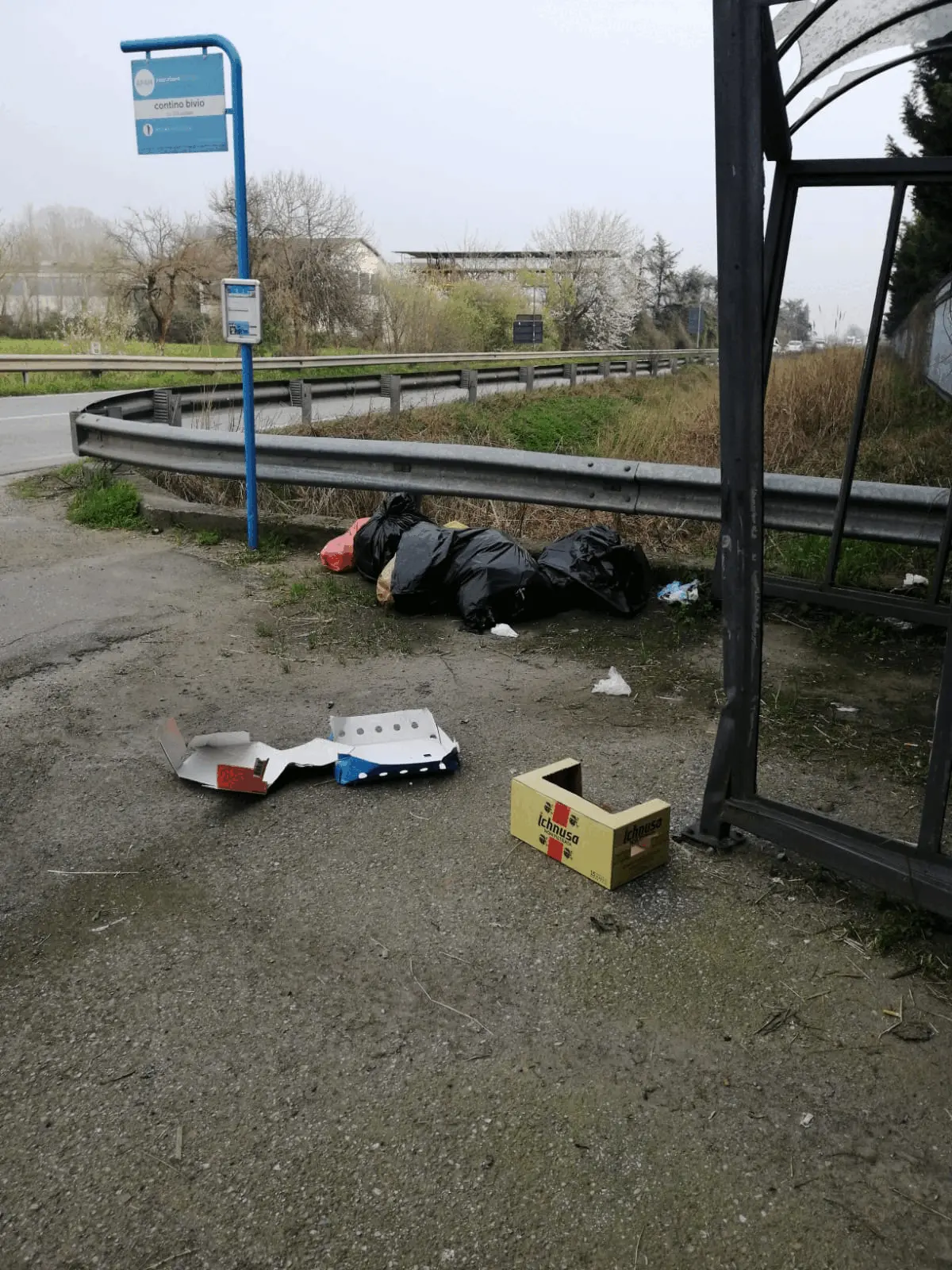 Immagine della giornata