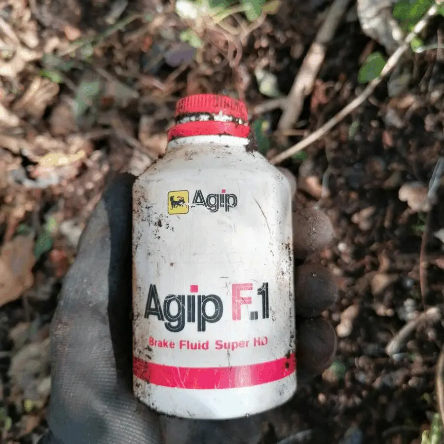 Immagine della giornata