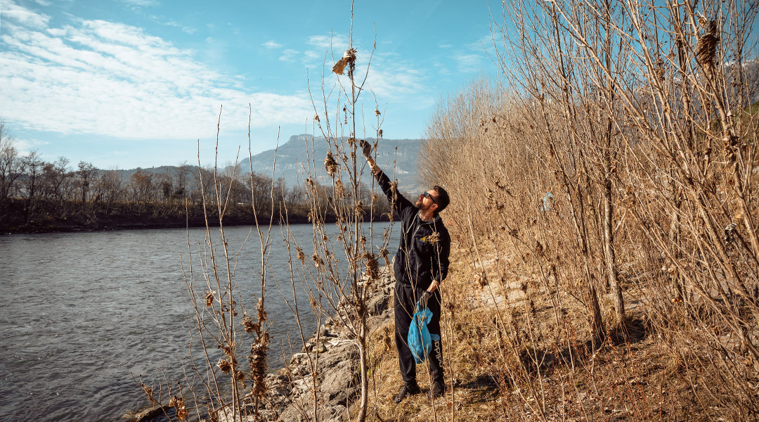 Immagine 3 del gruppo